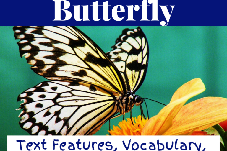 life-cycle-of-a-butterfly-activities