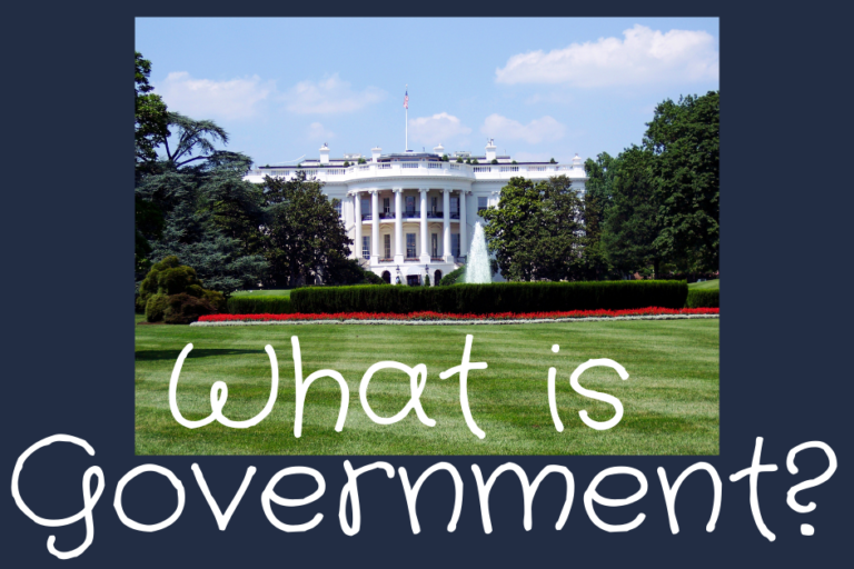 what-is-government