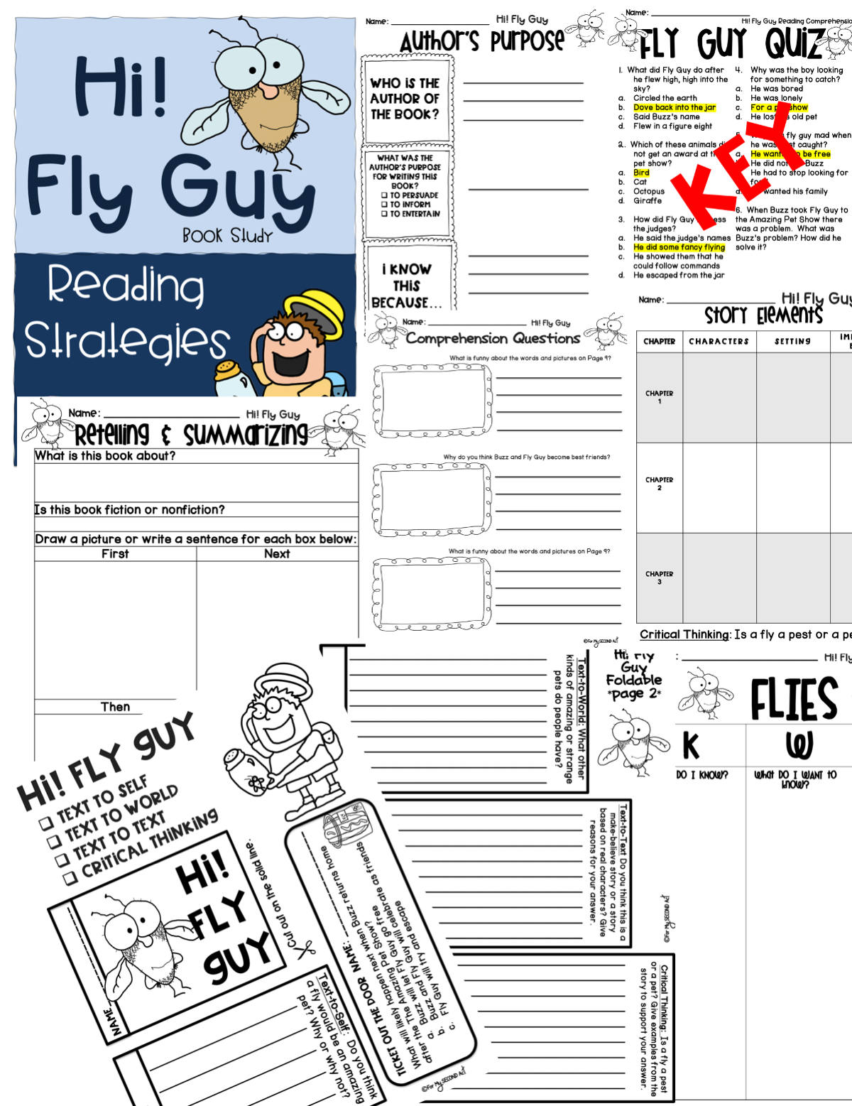 FLY GUY PRINTABLE ACTIVITIES For My Second Act